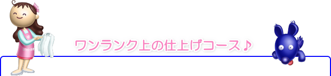 Yシャツのみのクオリティコース