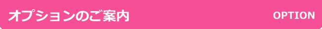 オプションのご案内