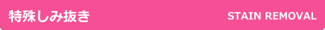 特殊しみ抜き